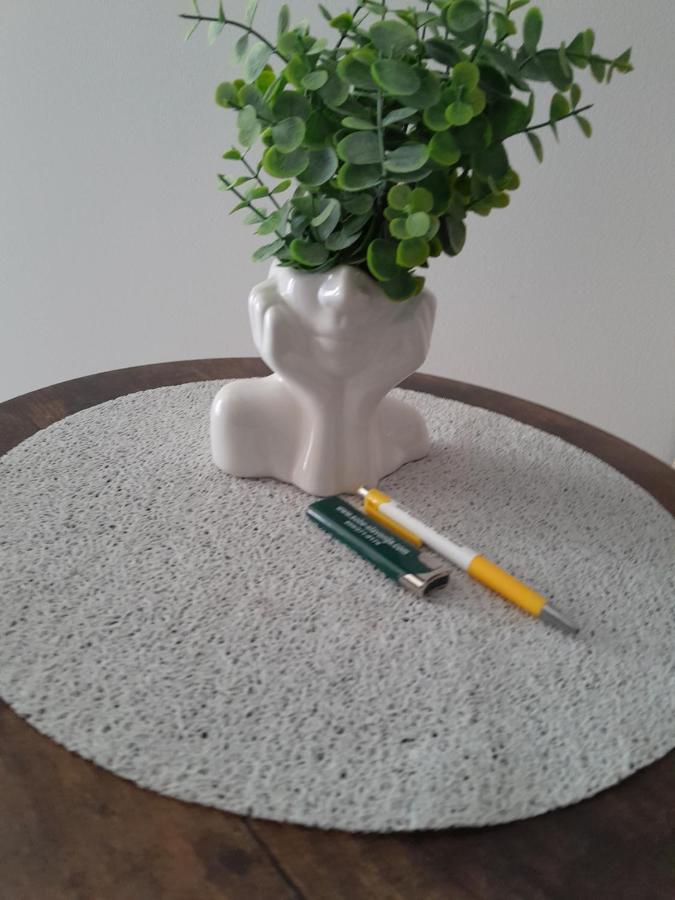 Apartmani Studio Apartmani Senjska Maslina セニ エクステリア 写真