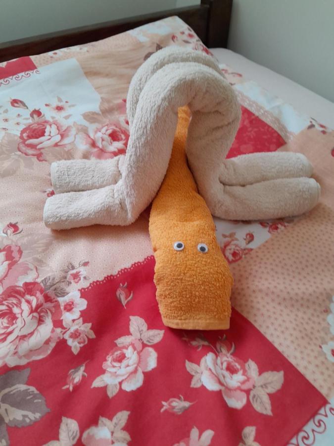 Apartmani Studio Apartmani Senjska Maslina セニ エクステリア 写真