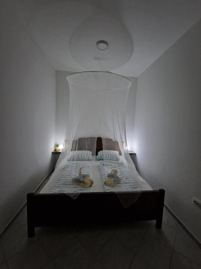 Apartmani Studio Apartmani Senjska Maslina セニ エクステリア 写真